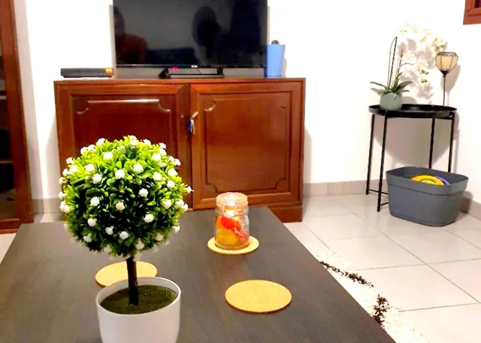 Avec Petit-déjeuner à La Demande à 20 Minutes De L'espagne à La Douceur Catalane Apartamento Perpiñán